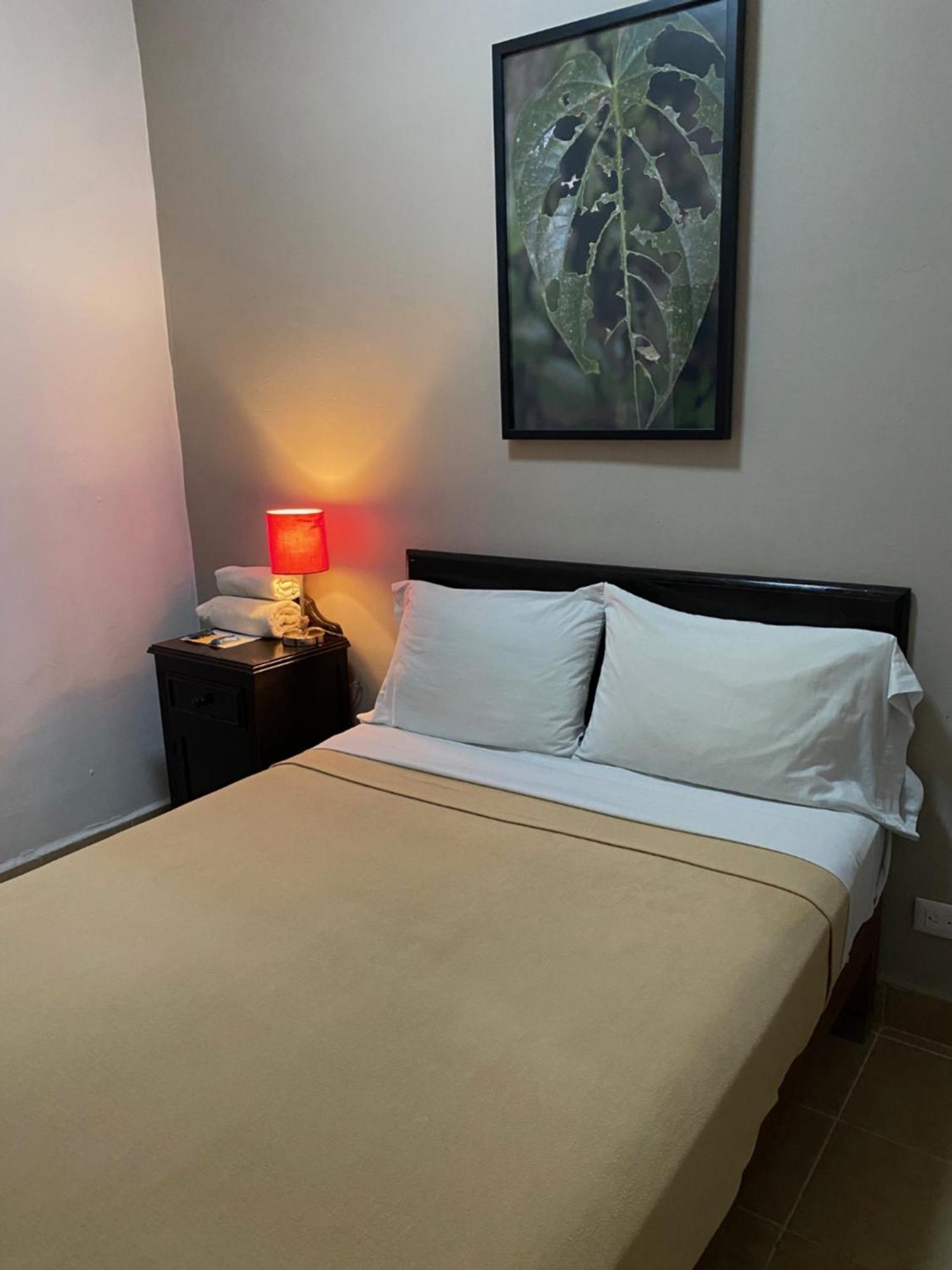 Hostel Inn Сан-Міґель-де-Альєнде Екстер'єр фото